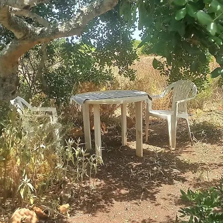 Pauls Caravan For 4 - The Horses From Your Bed Casa vacanze Barao de Sao Joao