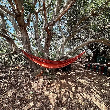 Pauls Caravan For 4 - The Horses From Your Bed Casa vacanze *