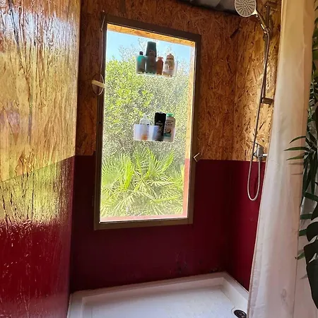 Pauls Caravan For 4 - The Horses From Your Bed *