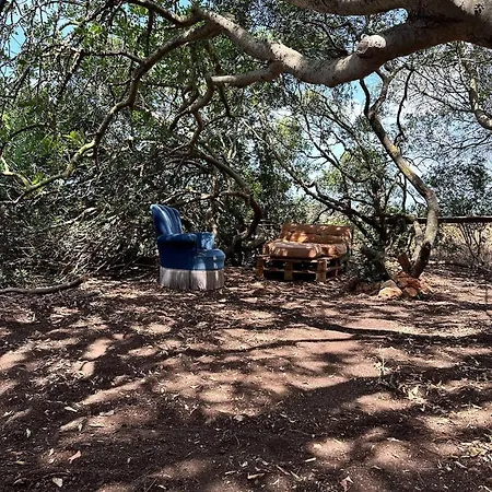 Pauls Caravan For 4 - The Horses From Your Bed Tatil Evi Barao de Sao Joao