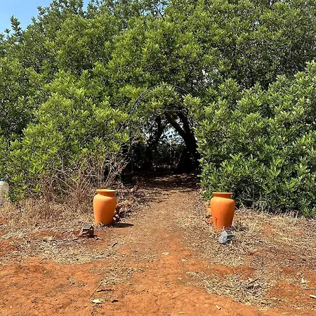 Tatil Evi Pauls Caravan For 4 - The Horses From Your Bed *