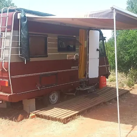 Pauls Caravan For 4 - The Horses From Your Bed