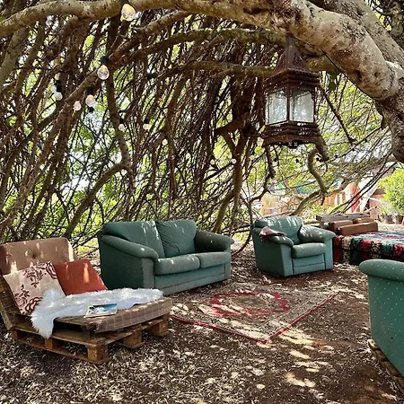 Pauls Caravan For 4 - The Horses From Your Bed