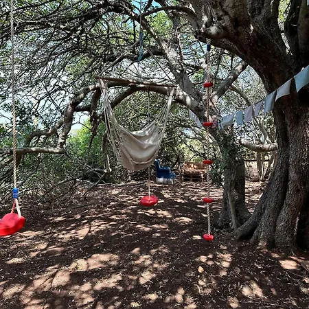 Pauls Caravan For 4 - The Horses From Your Bed Barao de Sao Joao