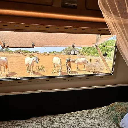 Pauls Caravan For 4 - The Horses From Your Bed 度假居