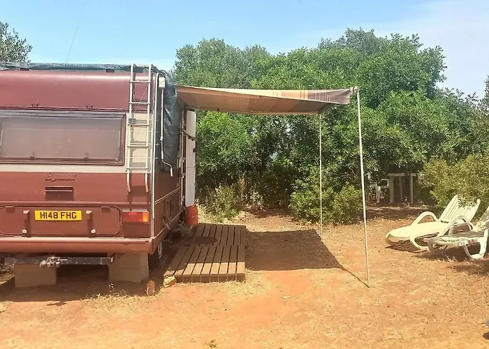 Pauls Caravan For 4 - The Horses From Your Bed *