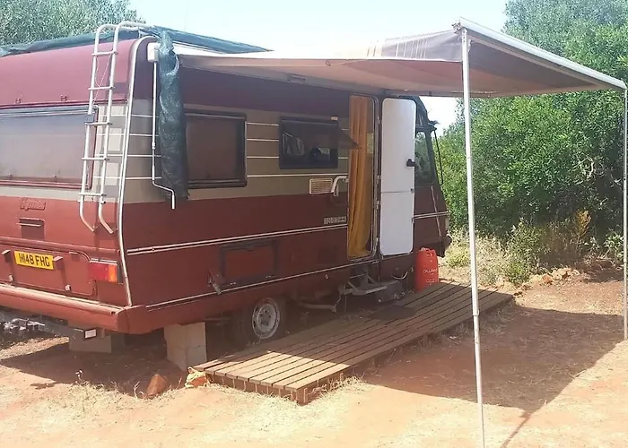 Pauls Caravan For 4 - The Horses From Your Bed