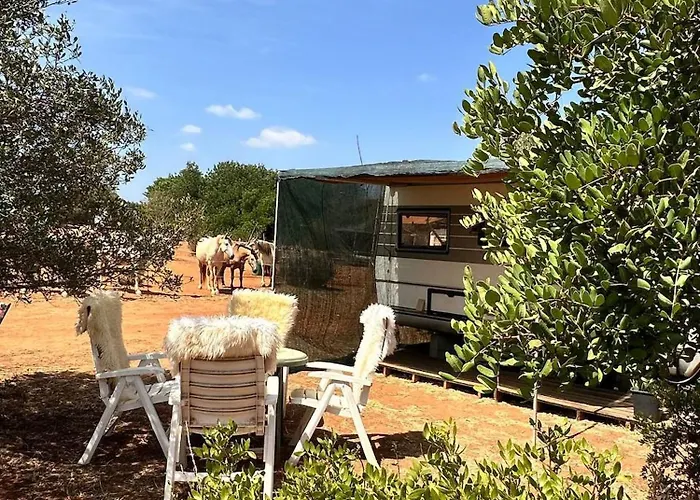 Pauls Caravan For 4 - The Horses From Your Bed Prázdninový dům
