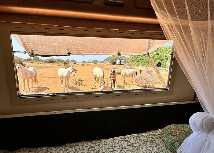Pauls Caravan For 4 - The Horses From Your Bed Prázdninový dům