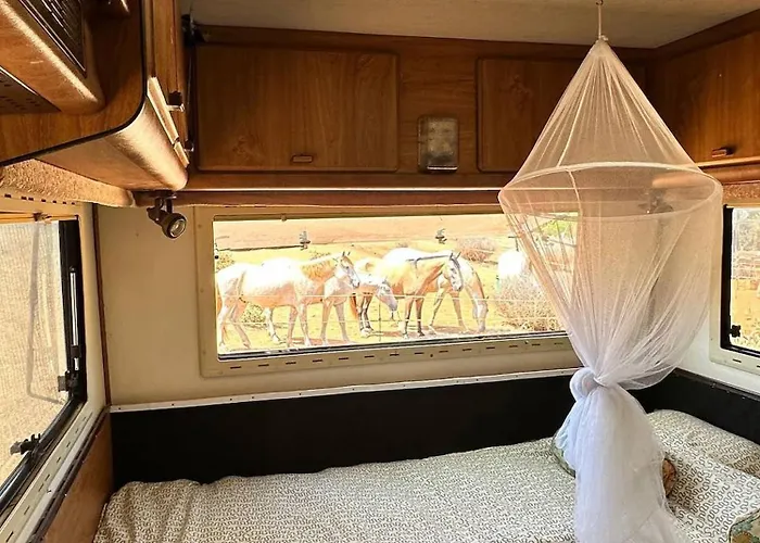 Prázdninový dům Pauls Caravan For 4 - The Horses From Your Bed *