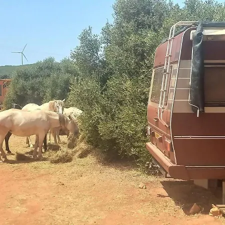 Pauls Caravan For 4 - The Horses From Your Bed Nyaraló