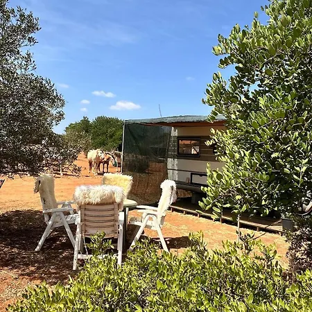 Pauls Caravan For 4 - The Horses From Your Bed Nyaraló