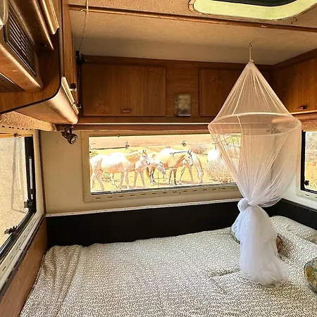 Nyaraló Pauls Caravan For 4 - The Horses From Your Bed *